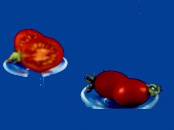 Tomato2C20principe20Borghese.jpg