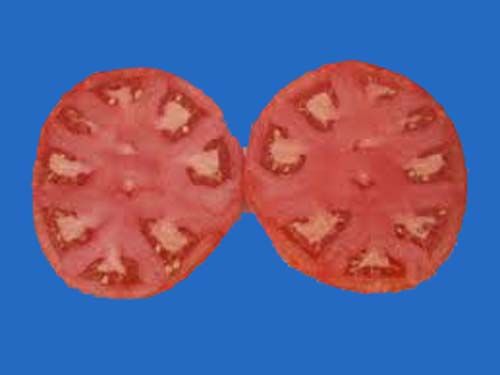 tomato2C20ace205520copy.jpg